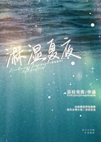 淋湿夏夜讲了什么