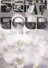 staygold歌词中文翻译