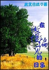 傲慢与偏见2005