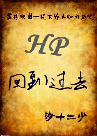 hp·回到过去作者沙十二少