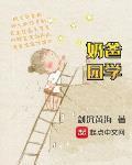 奶爸学园无错版TXT