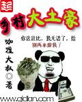 乡村土豪 崇州杠把子