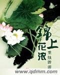 锦上花浓讲什么