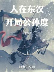 三国志11公孙度开局