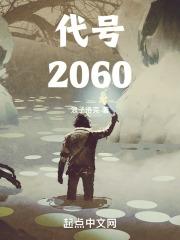 代号203