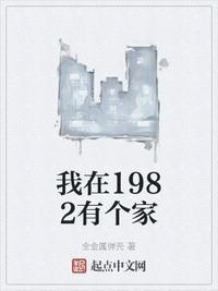 我在1982有个家无防盗