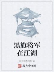 黑旗将军在江湖怎么玩