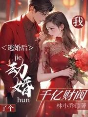 逃婚之后全文免费