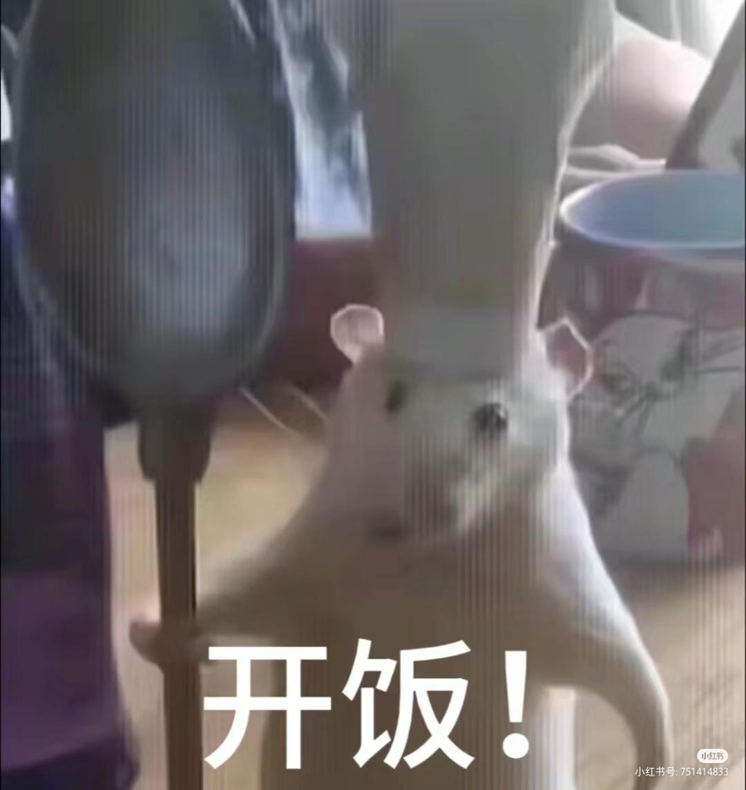 魅魔无法进入游戏