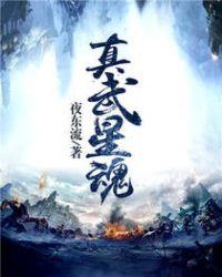 真武星魂无弹窗