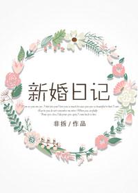 新婚日记非拆讲什么