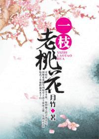 一枝桃花出墙来