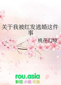 关于我被红发香克斯逃婚这件事