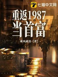 重回1987去奋斗 白金大神