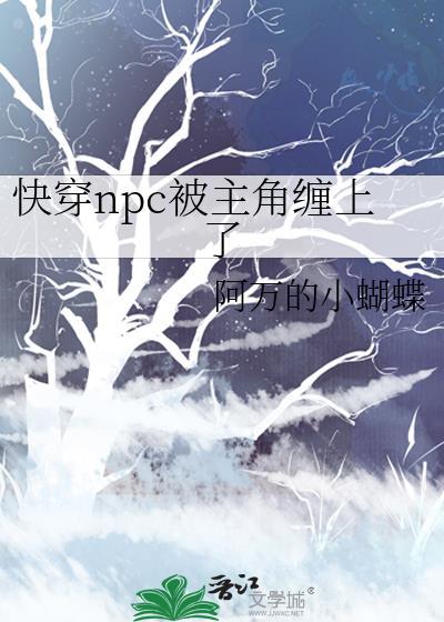 npc 快穿