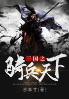 三国之兵临天下无弹窗(高月)