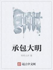 承包大明epub