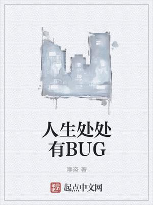 人生处处有bug是什么意思