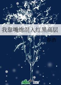 我靠嘴炮混入红黑高层111