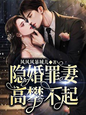 隐婚罪妻陆先生